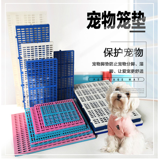 dog cage toy