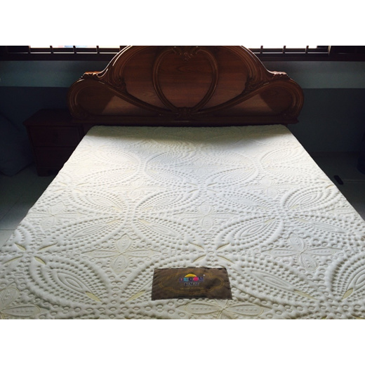 seahorse hecom mattress