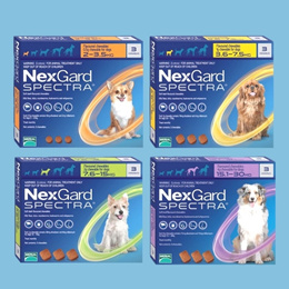 NEXGARD SPECTRA Chewable 3pieces per 1box