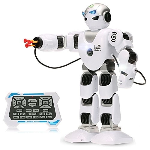 smart remote control robot