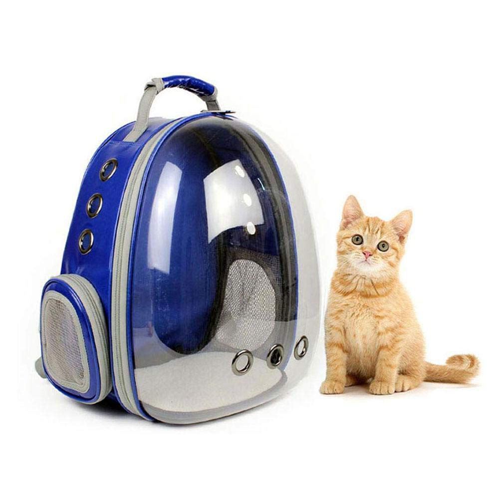 cat transparent backpack