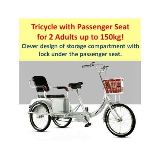 tricycle passenger bike