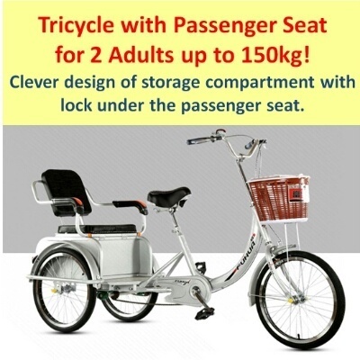 tricycle for 2 adults