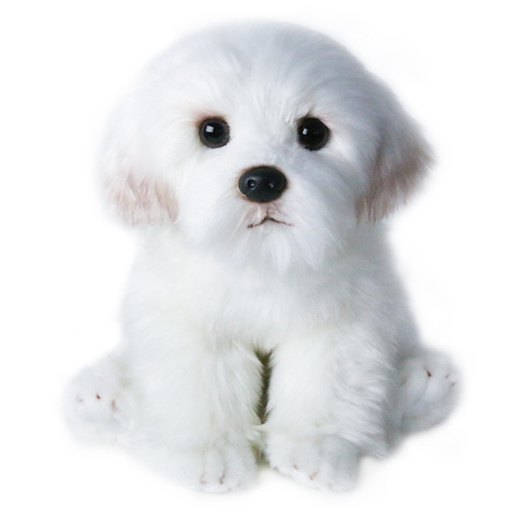 bichon frise cuddly toy