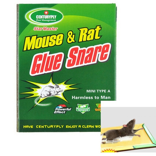 Qoo10 - Max Sticky Glue Mice Traps Board Mouse Rat Bugs Safe Trapper ...