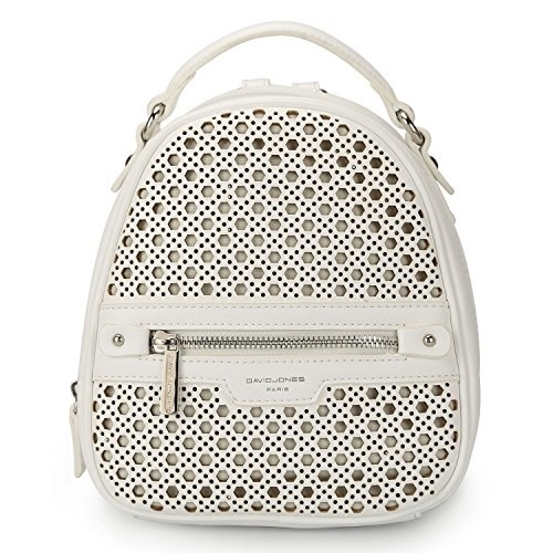 david jones backpack purse