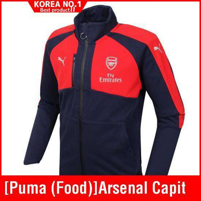 puma sweatsuit