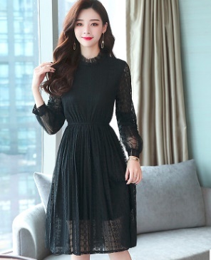 casual lace dress with sleeves