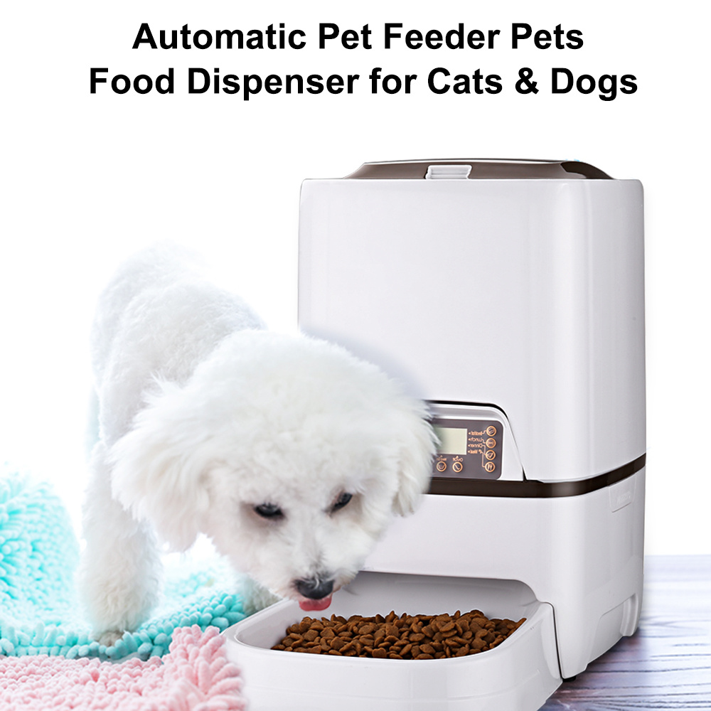 Qoo10 6l 4 Meals Automatic Pet Feeder Uk Plug Pet Care