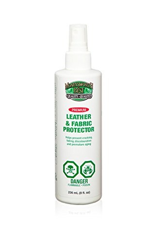 best shoe cleaner and protector