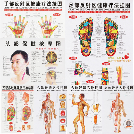 Qoo10 - 7pcs/set English Acupuncture Meridian Acupressure Points ...