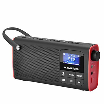 Dolphin Retrobox Mini RTX-10 - Bluetooth Speakers with FM Radio, USB Drive,  Micro SD Card MP3