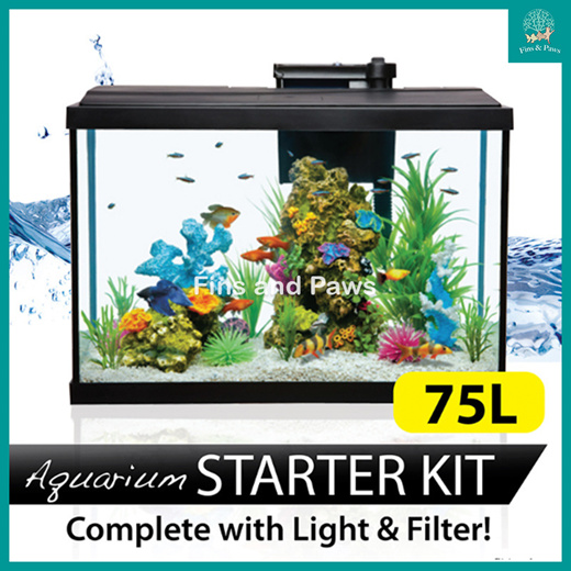 fish tank light starter