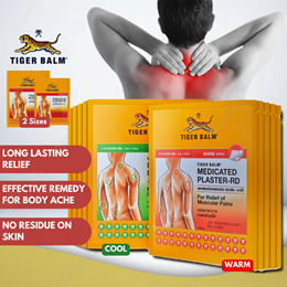 [ Bundle 5 ] Tiger Balm Plaster (2pcs/pack)