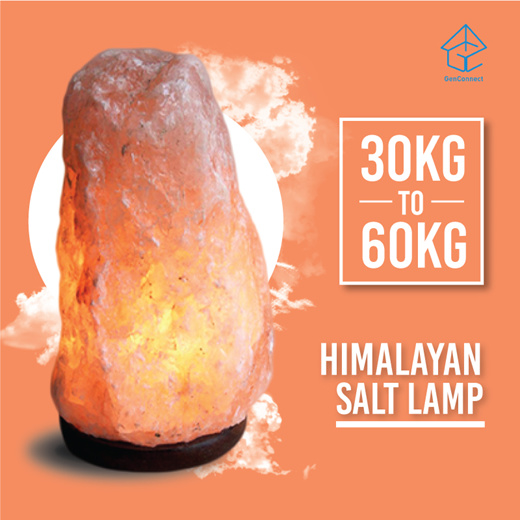 replacement parts for himalayan salt lamp