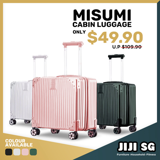 business cabin luggage