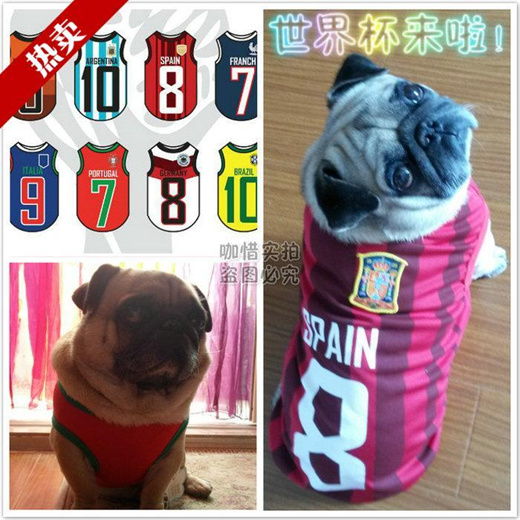 Dog Soccer Jersey Spain