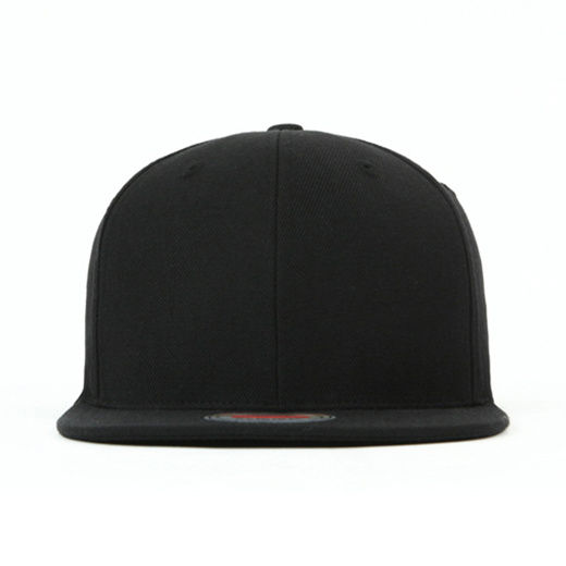 blank snap back