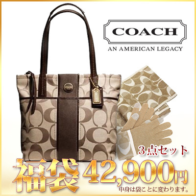 types of coach bags